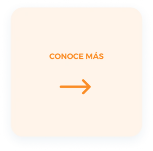 Group-86-1024x1007-1.webp